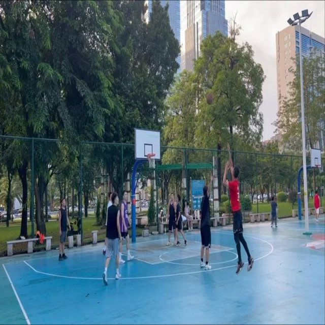 篮球季后赛数据视角解析第121组关键动态